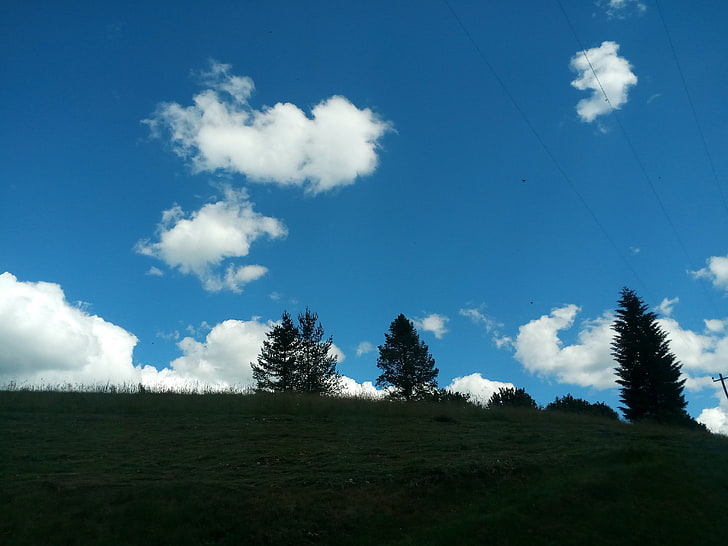 sky, nature, Serbia, June, cloud - sky, beauty in nature, plant, HD wallpaper