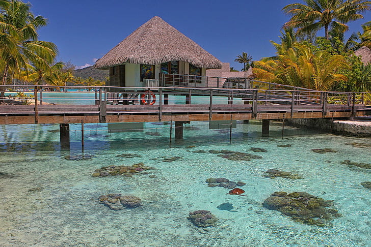 Turtle Enclosure Bora Bora, pacific, lagoon, coral, reef, beach, HD wallpaper