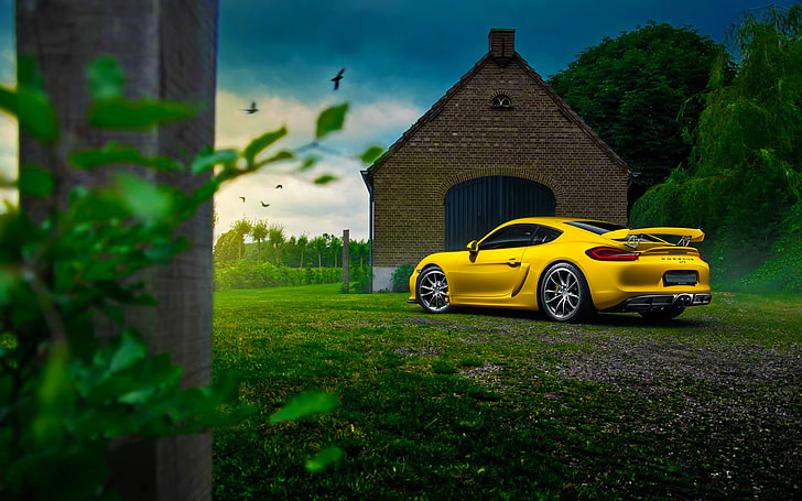 Porsche, Cayman, Car, Nature, Color, Yellow, Summer, GT4, Rear