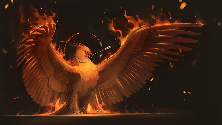 darkness, flame, phoenix, greek mythology, feather, wing, fire