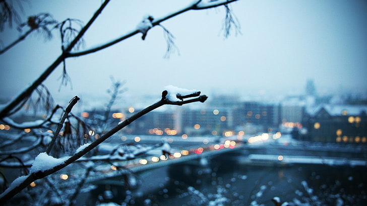snow-covered bare tree, snow on tree branch, bokeh, winter, cityscape