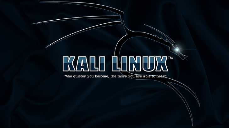 Kali Linux, text, studio shot, western script, black background