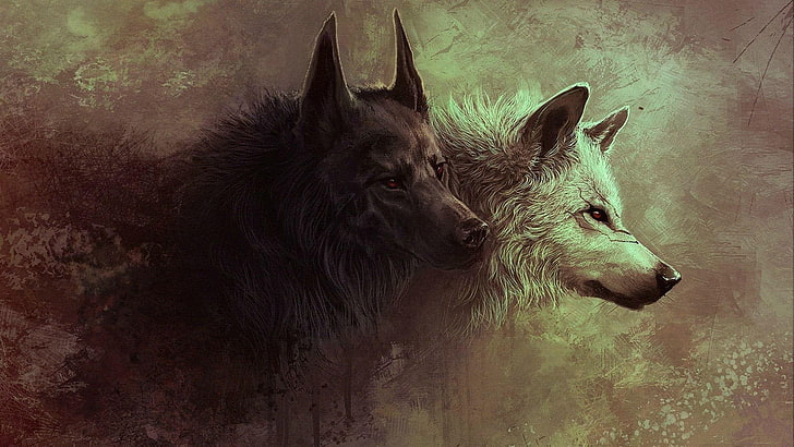 wolf, wolves, art, artwork, HD wallpaper