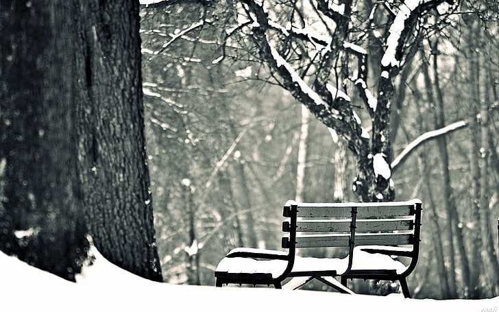 black bench, winter, snow, trees, background, widescreen, Wallpaper