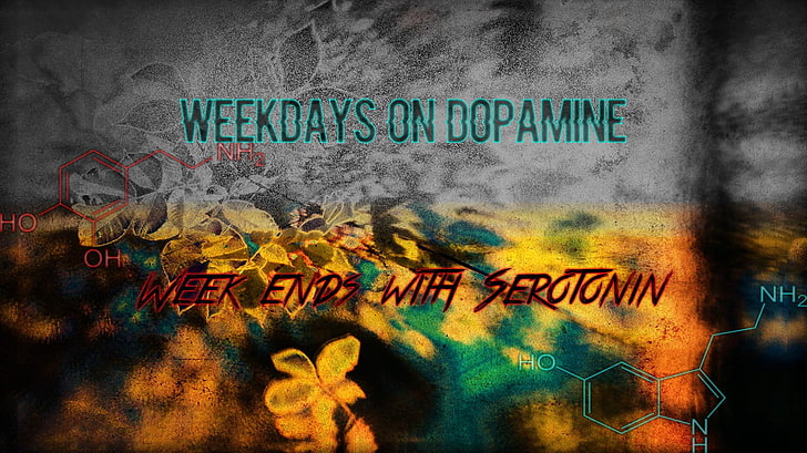 weekdays on dopamine digital wallpaper, drugs, work, anatomy, HD wallpaper