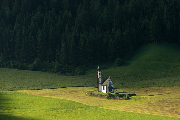 church, alone, trees, forest, field, HD wallpaper