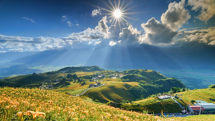 hillside, flower field, sunray, rays, landscape, cloud, stunning, HD wallpaper