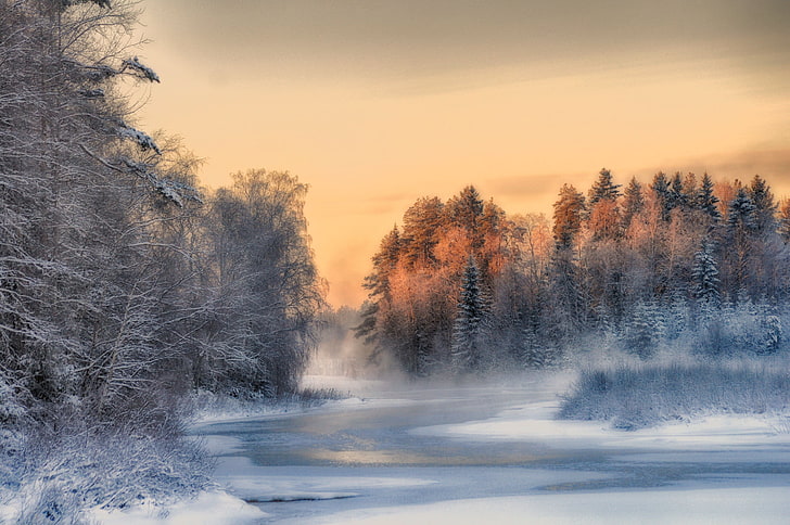 winter, Finland, trees, landscape, nature, snow, ice, sunset, HD wallpaper