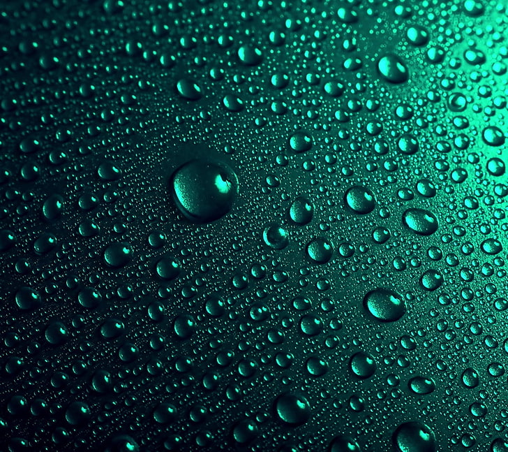 abstract, water, drop, wet, close-up, rain, full frame, no people, HD wallpaper