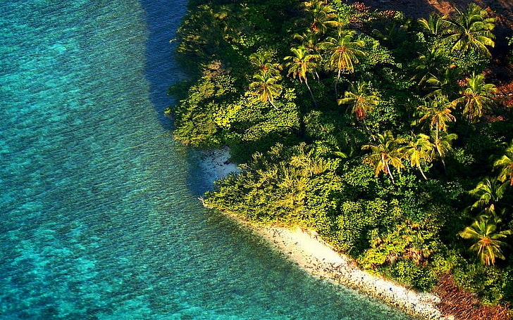 nature, landscape, aerial view, island, beach, tropical, Maldives