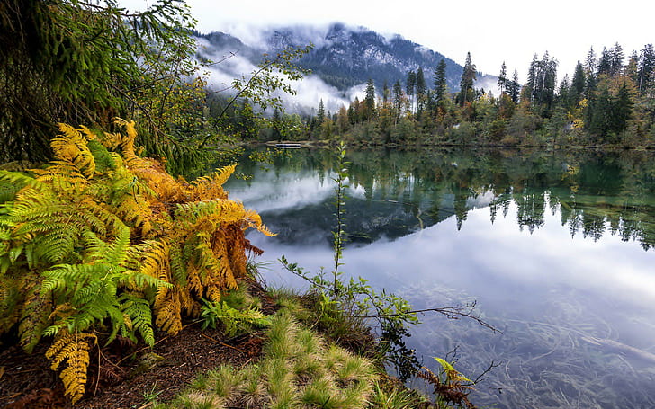 Nature Mountain Forest Landscape Fog Lake Ultrahd 4k HD Widescreen, HD wallpaper