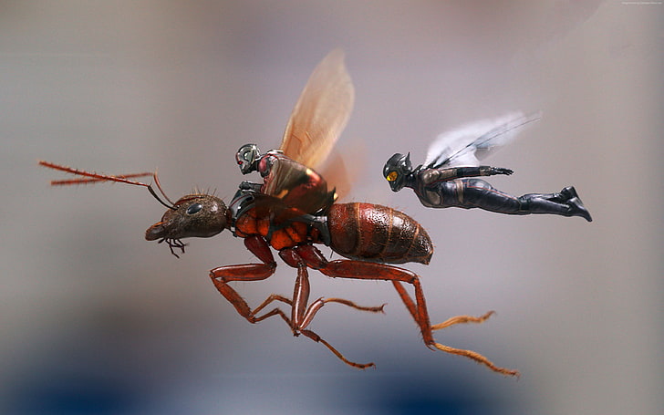 Ant-Man and the Wasp, 4k