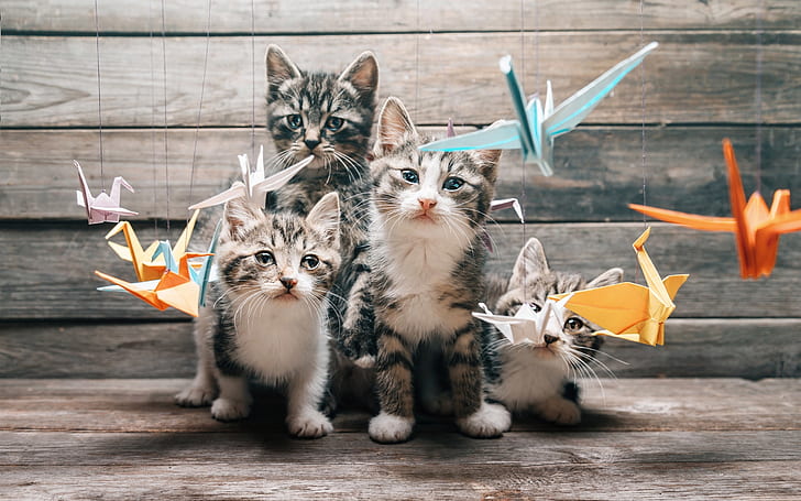 Four kittens, whiskers, looking, paper birds, origami