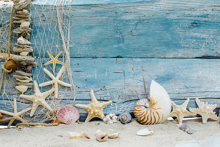 seashells decor lot, sand, beach, stars, wood, marine, starfishes, HD wallpaper