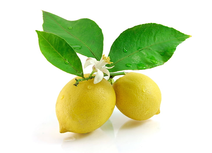 two yellow lemon fruits, leaf, flowers, citrus Fruit, freshness