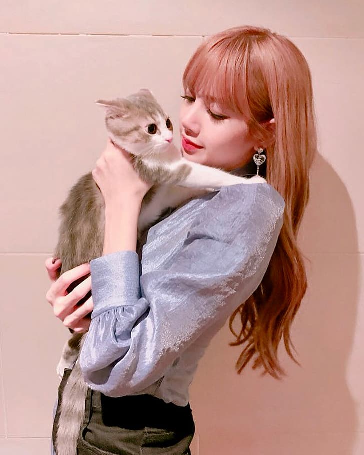HD wallpaper: Lisa (BLACKPINK), cat girl, Asian | Wallpaper Flare