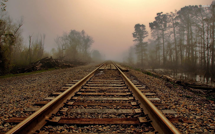 brown train railway, leaves, mist, trees, landscape, railroad Track