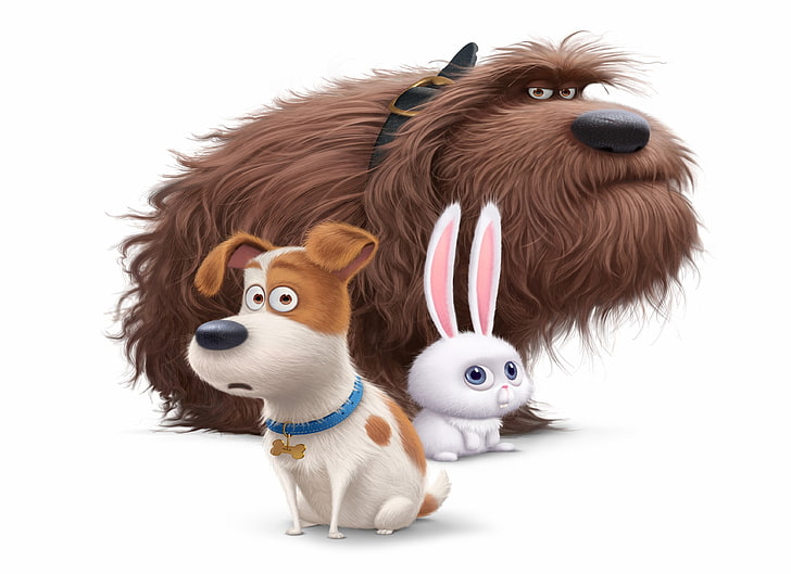 cartoon, Best Animation Movies of 2016, The Secret Life of Pets, HD wallpaper