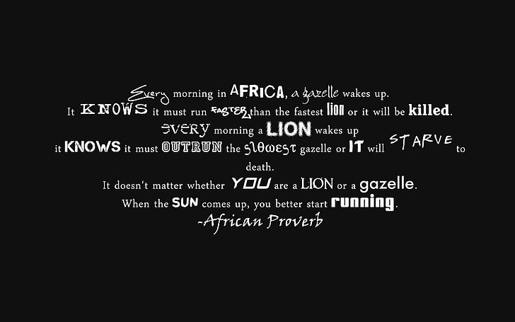gazelle, morning, proverb, quotes, running, typography, HD wallpaper