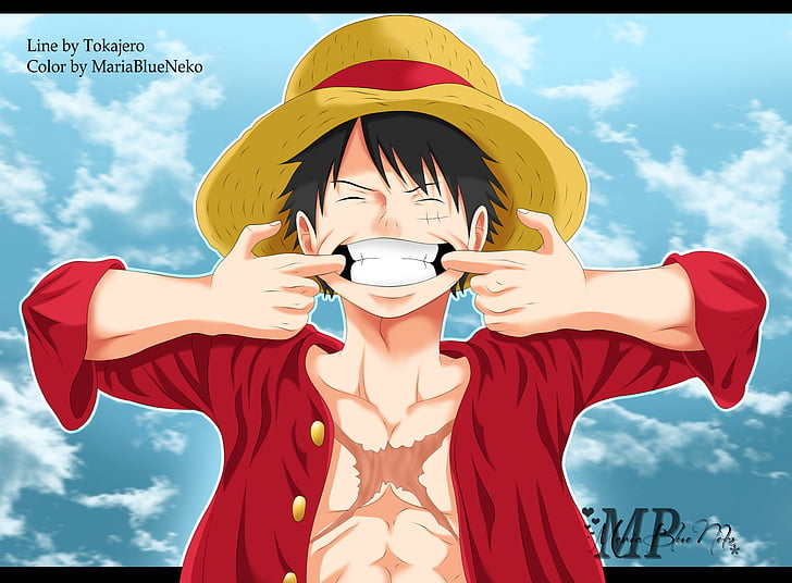 HD wallpaper: Anime, One Piece, Monkey D. Luffy | Wallpaper Flare