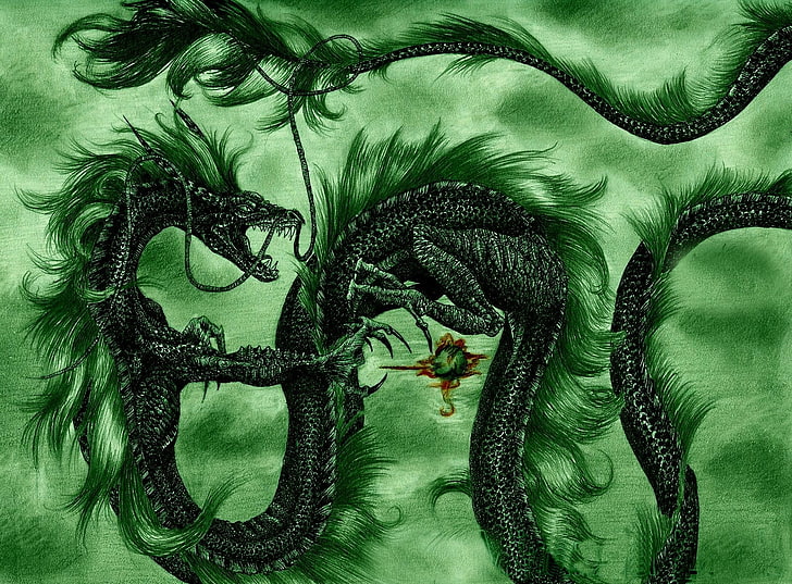 black dragon illustration, green color, animal, no people, animal themes