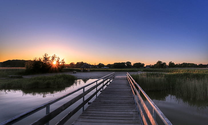 brown wooden bridge near lake during sunset, Saaler Bodden, evening light