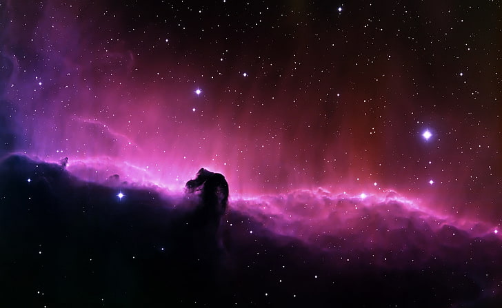 Horsehead Nebula, black and purple galaxy, Space, star - space