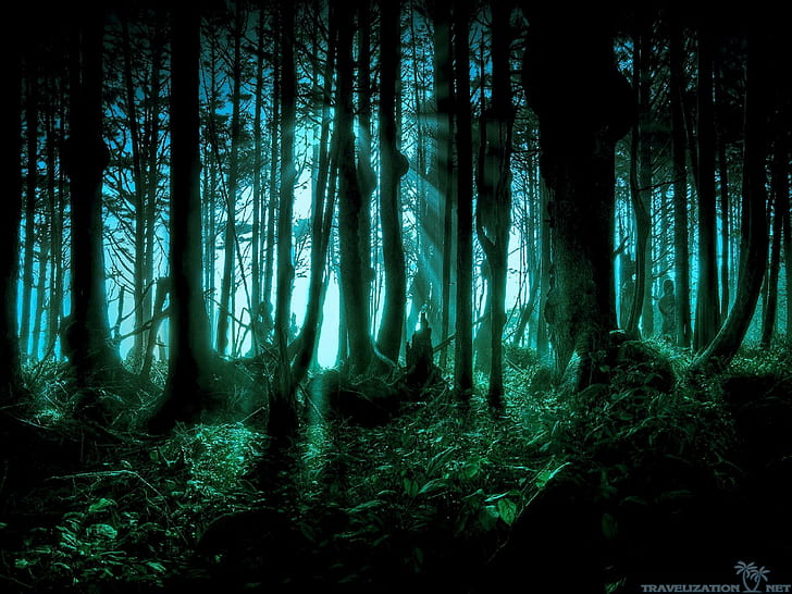 Scary forest 1080P, 2K, 4K, 5K HD wallpapers free download | Wallpaper Flare