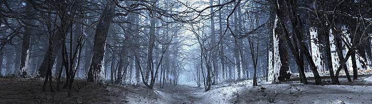 dense forest digital wallpaper, winter, nature, snow, tree, season