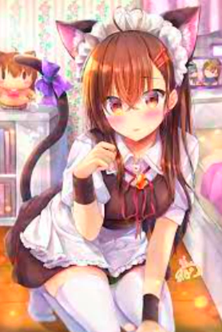 HD wallpaper: maid, cat girl, anime girls | Wallpaper Flare