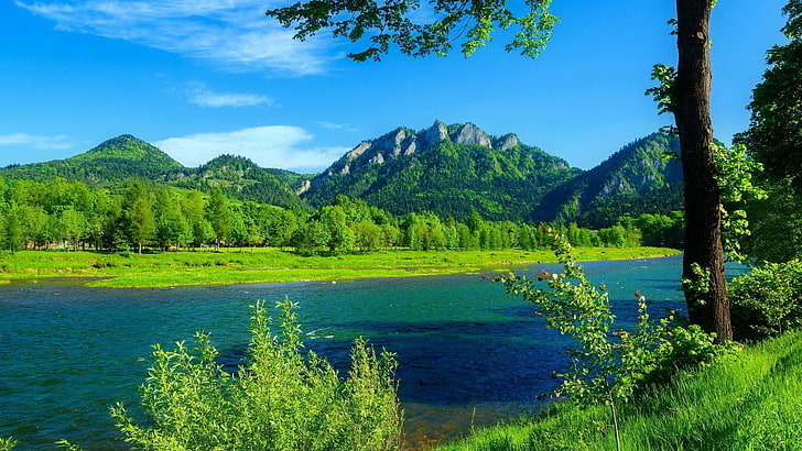 slovakia-poland, dunajec, pieniny, national park, tree, scenics - nature, HD wallpaper