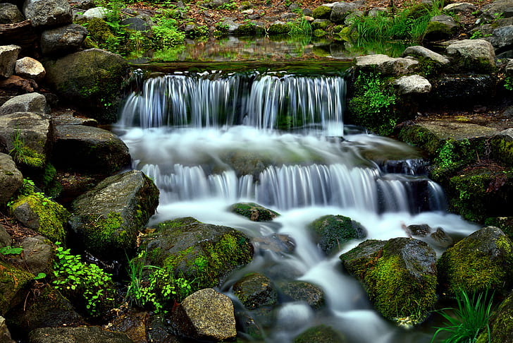 photo of water falls, fern, yosemite national park, fern, yosemite national park, HD wallpaper