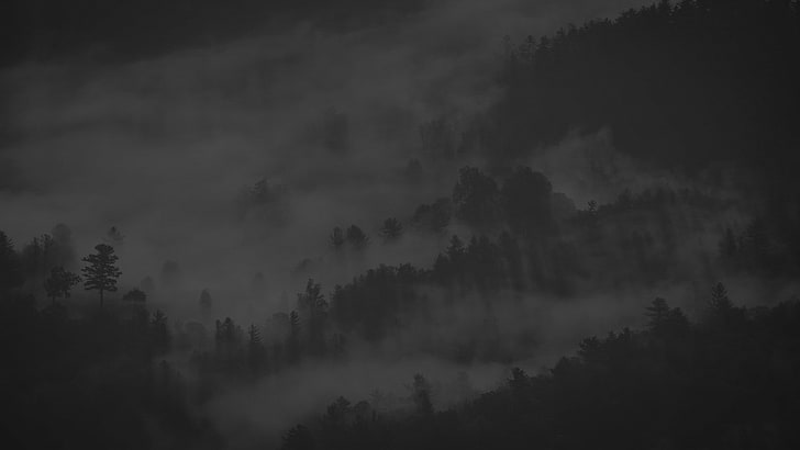grayscale photo of mountain, mist, forest, nature, trees, beauty in nature