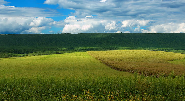 photo green grass field during daytime, Walled, Pennsylvania, HD wallpaper