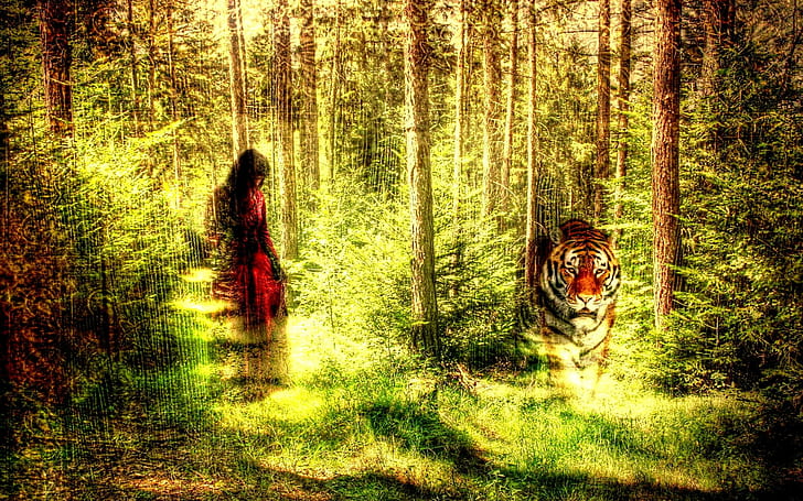 A Stroll In Woods, forest, a tiger, a girl, texture, style, 3d and abstract, HD wallpaper