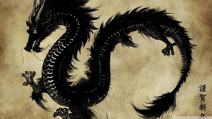 dragon illustration, Japan, chinese dragon, fenix, animal, old-fashioned