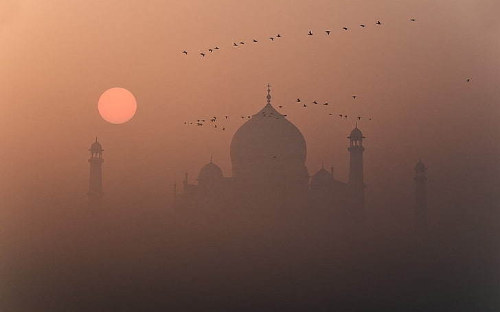 Taj Mahal, India, nature, mist, sunset, birds, flying, marble, HD wallpaper