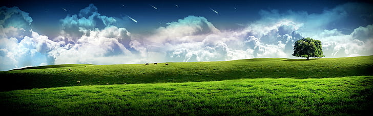 clouds, grass, hills, cow, panorama, HD wallpaper