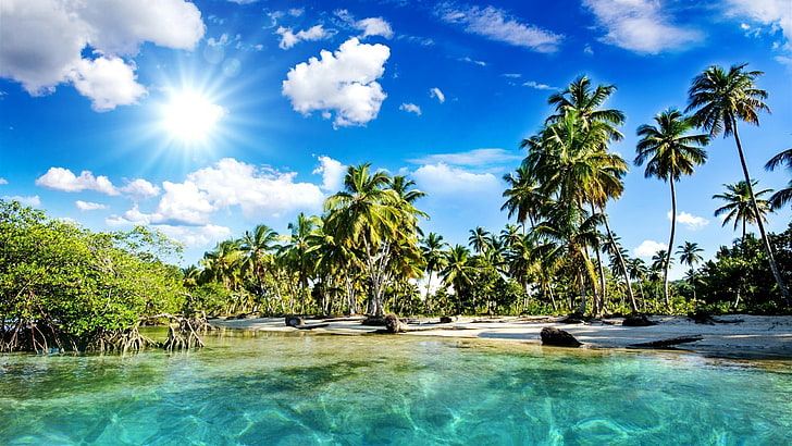 tropical beach, sunny day, sunshine, summer, palm, palms, vacation, HD wallpaper
