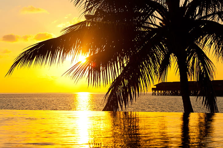 Bora Bora Tahiti Sunset, island, beach, reflection, swimming, HD wallpaper