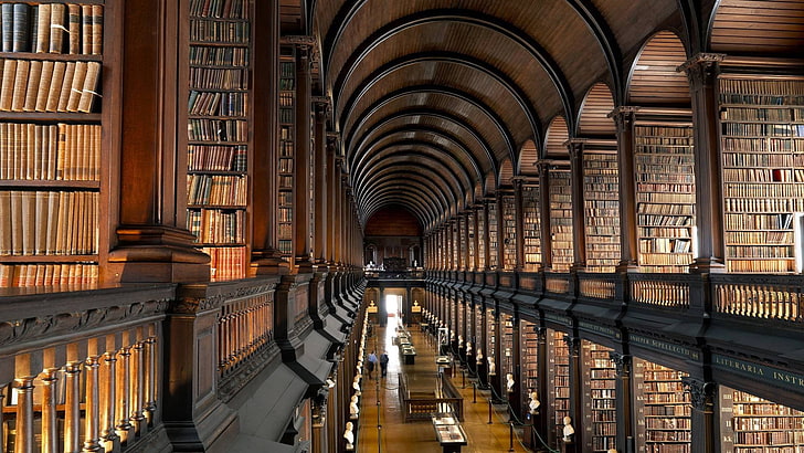 brown and gray library interior, books, Trinity College Library