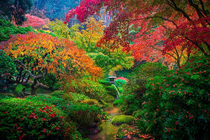 Man Made, Japanese Garden, Colorful, Fall, Foliage, Nature