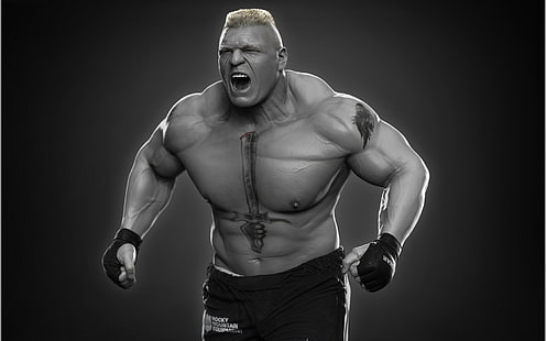 HD wallpaper: Brock Lesnar 3D, UFC player, WWE, wrestler, studio shot,  muscular build | Wallpaper Flare