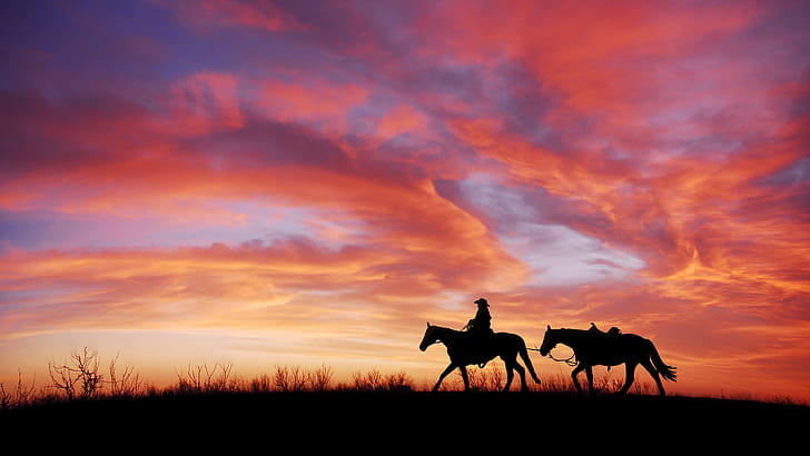 4K, Horses, Silhouette, Cowboy, Sunset