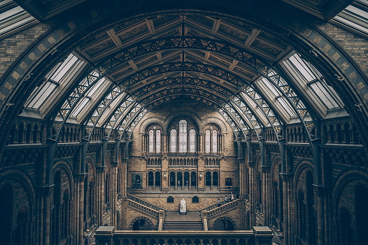 architecture, building, photography, Natural History Museum, HD wallpaper