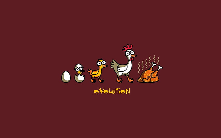 white rooster illustration, humor, evolution, communication, copy space, HD wallpaper