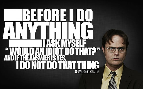 HD wallpaper: Dwight Schrute Quote HD, idiot, the office | Wallpaper Flare
