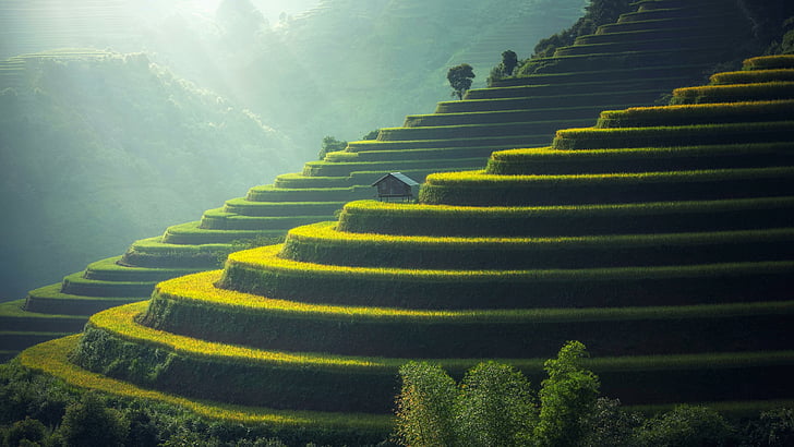 terraces, culture, fields, yuanyang, yunnan, china, asia, ailao, HD wallpaper