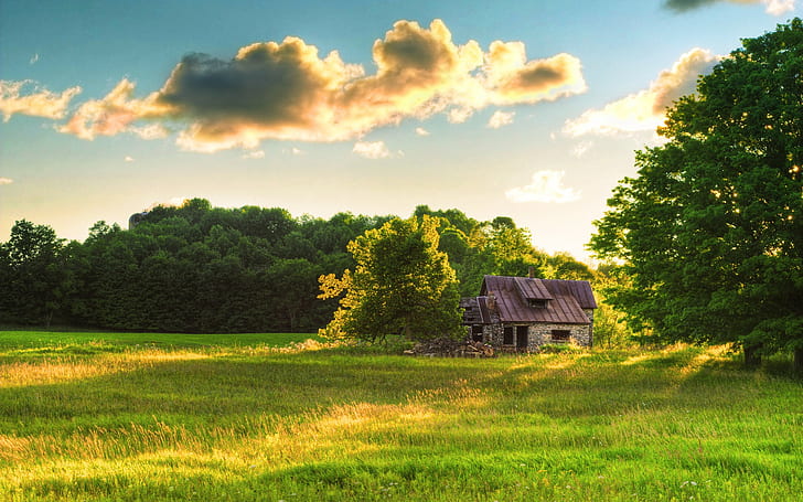 nature, clouds, grass, cabin, trees