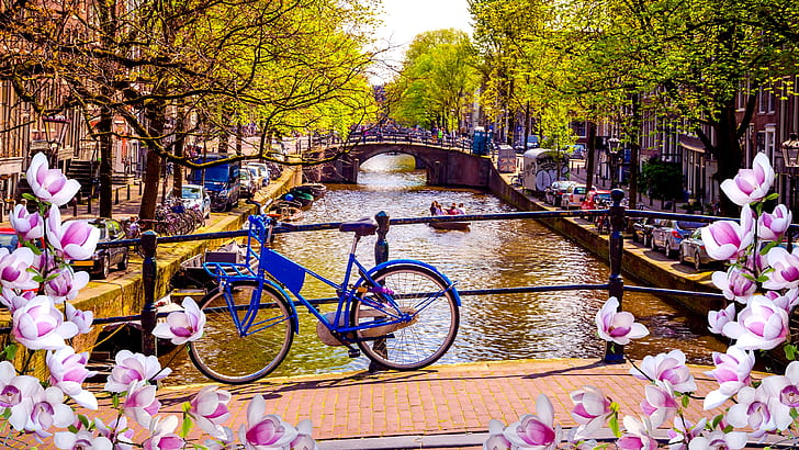 Amsterdam 1080P, 2K, 4K, 5K HD wallpapers free download | Wallpaper Flare
